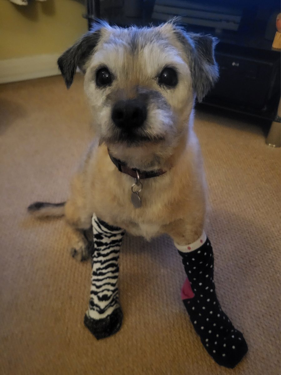 BeyondLCC's tweet image. Happy #OddSocksDay from the Anti-Bullying team&apos;s willing participants ;)