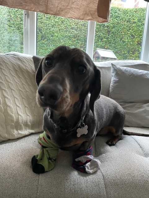 BeyondLCC's tweet image. Happy #OddSocksDay from the Anti-Bullying team&apos;s willing participants ;)