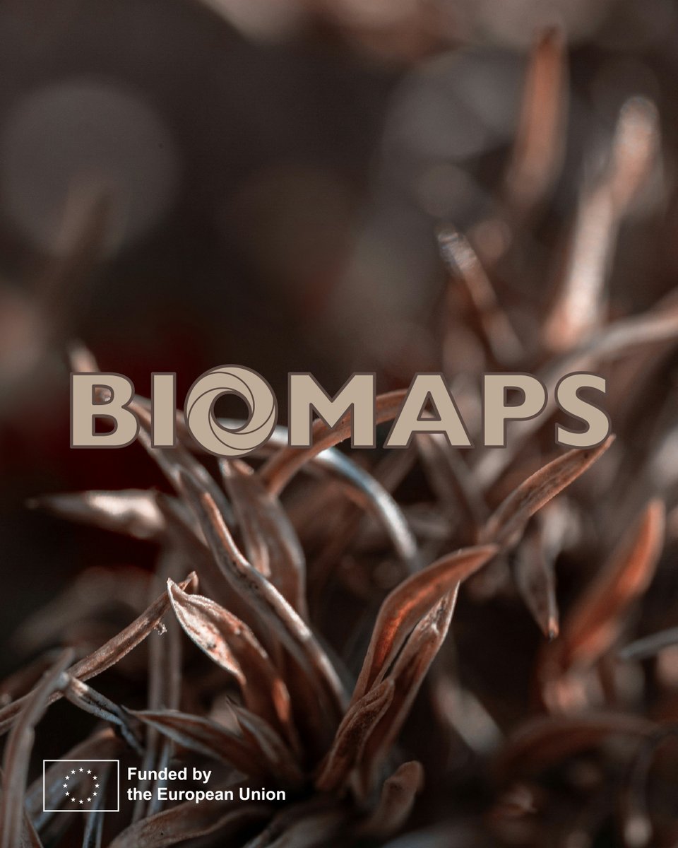 biomaps_project's tweet photo. Hey there! This is the BIOMAPS project, an @HorizonEU Project 🇪🇺 Our aim is to create Bio-Intelligent Manufacturing of Multifunctional Bio-Based Polymer System.
Follow us on various social networks, be part of the #BIOMAPS community 🤝
#BIOMAPSProject #BioBased #PHAs #HEProject https://t.co/eNWw5xHFvw