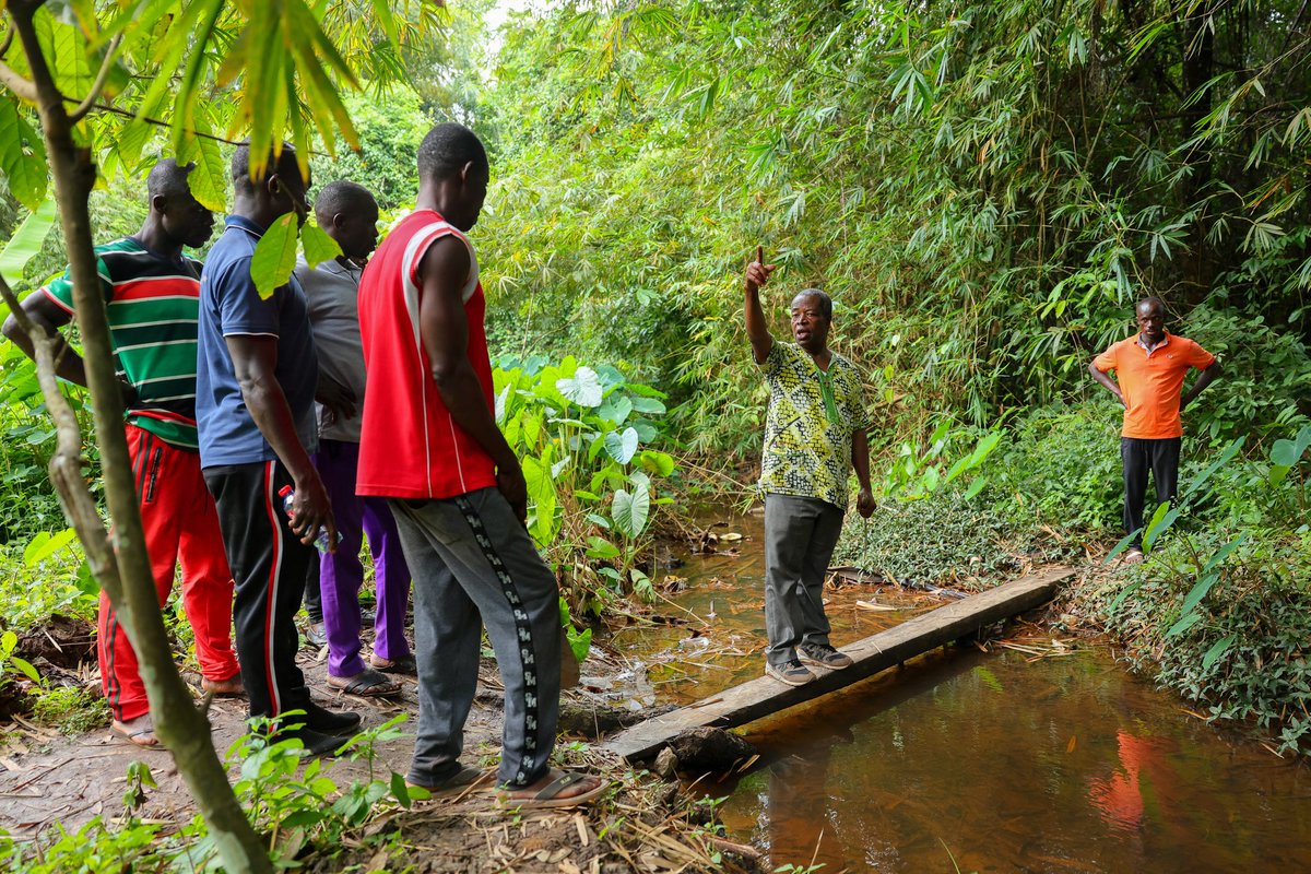 All2Weather's tweet image. Residents in Jema, Ghana, have organised a community patrol to fight illegal gold mining (“galamsey”), as rivers face pollution and the country loses billions to gold smuggling.
Source: Associated Press (apnews.com)
#AllWeatherNews #Ghana #Environment #AllWeather