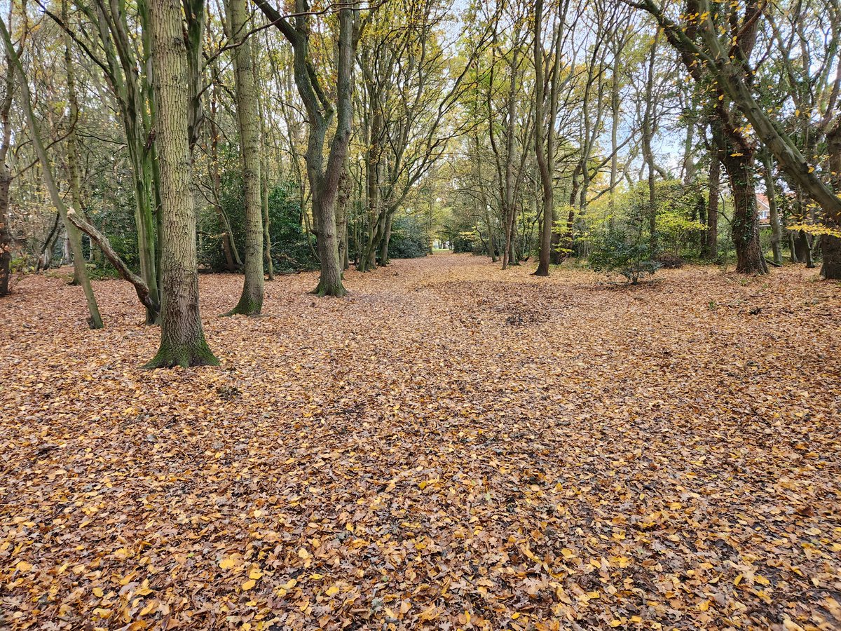 Jimmy Webb. tweet media