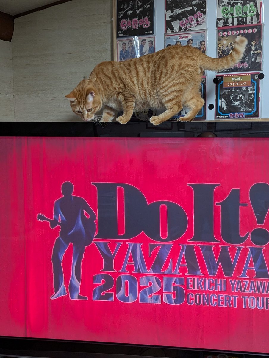 yazawa_syunan city yamaguchi Japan on X