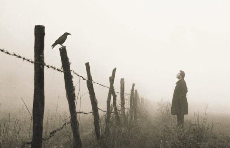 "Ölüm, sevdiğimizin varlığını bizden alır; ama bu kayıp, onların bizde bıraktığı varoluşsal izi silmez."  

—Heidegger