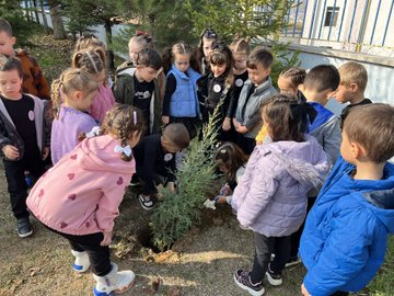 Multiple images depict young children in colorful school uniforms and jackets gathered around small green coniferous saplings in an outdoor schoolyard with a blue fence and green trees in the background. Children kneel and stand digging soil with shovels and hands to plant the trees, some holding posters featuring a black-and-white portrait of Atatürk. Educators in casual attire supervise the group activity, with one image showing a close-up of kids placing a sapling into a prepared hole. Another panel captures a larger circle of about 15-20 children and adults surrounding a planted tree, all smiling and engaged. The scenes emphasize community planting efforts with visible dirt mounds and tools like small shovels.
