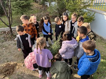 Multiple images depict young children in colorful school uniforms and jackets gathered around small green coniferous saplings in an outdoor schoolyard with a blue fence and green trees in the background. Children kneel and stand digging soil with shovels and hands to plant the trees, some holding posters featuring a black-and-white portrait of Atatürk. Educators in casual attire supervise the group activity, with one image showing a close-up of kids placing a sapling into a prepared hole. Another panel captures a larger circle of about 15-20 children and adults surrounding a planted tree, all smiling and engaged. The scenes emphasize community planting efforts with visible dirt mounds and tools like small shovels.
