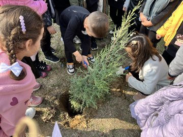 Multiple images depict young children in colorful school uniforms and jackets gathered around small green coniferous saplings in an outdoor schoolyard with a blue fence and green trees in the background. Children kneel and stand digging soil with shovels and hands to plant the trees, some holding posters featuring a black-and-white portrait of Atatürk. Educators in casual attire supervise the group activity, with one image showing a close-up of kids placing a sapling into a prepared hole. Another panel captures a larger circle of about 15-20 children and adults surrounding a planted tree, all smiling and engaged. The scenes emphasize community planting efforts with visible dirt mounds and tools like small shovels.