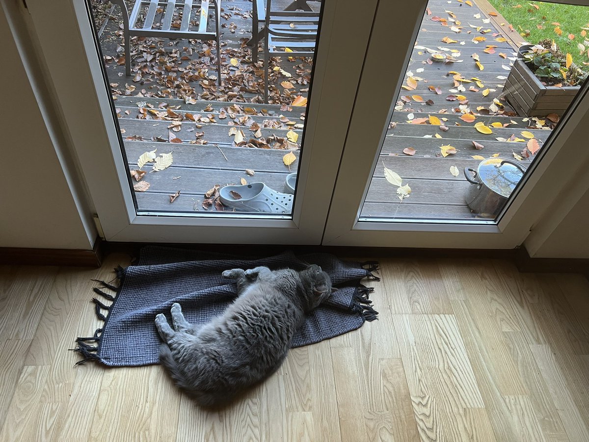 Reakcja Zosi na ten wpis