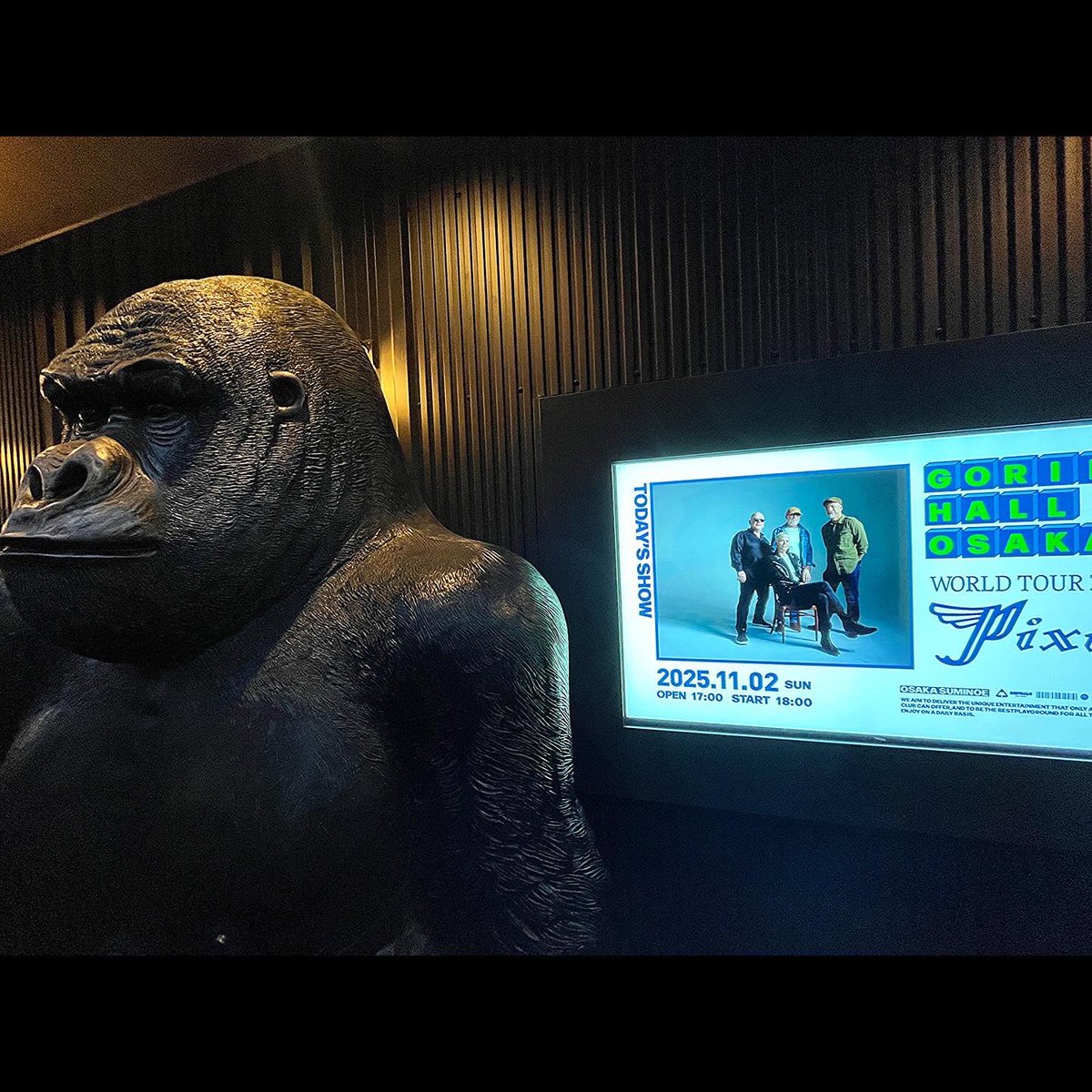 get_up_punks's tweet photo. 『PIXIES』 
Live at Osaka Japan Tour2025

観てきたんだぜ！！！
@PIXIES https://t.co/FLJMLX3EkR
