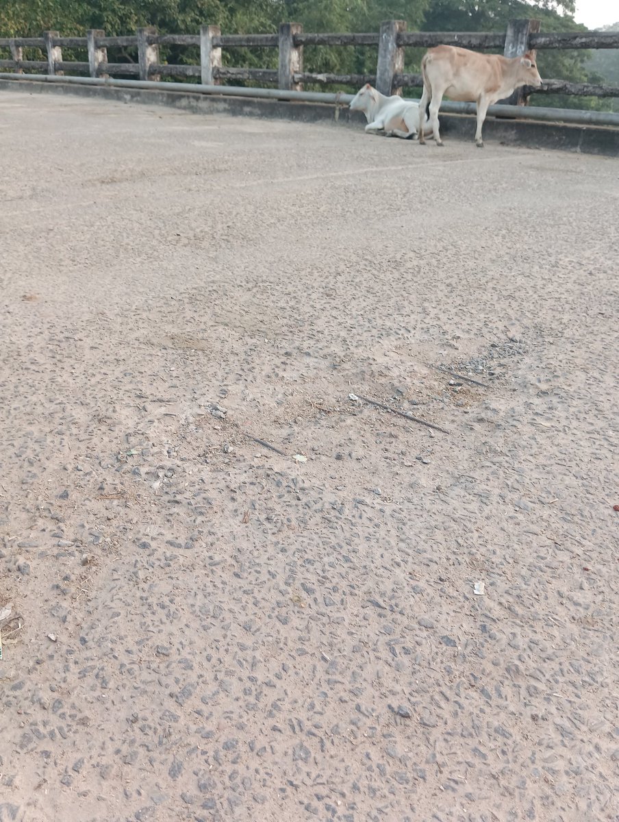 milurout's tweet photo. @UpasnaMohapatra @PramodBhagat83 This is the condition of the river bridge at Dobandha under Kerandipur GP due to no maintainance from concerned Deptt. Kindly instruct concerned for betterment. https://t.co/Sz6ZeLQlrr