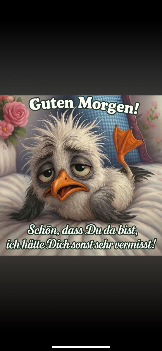 Guten Morgen ihr Lieben 🥰 Dad Wetter lädt ja richtig zum aufstehen ein 🙈 ich wünsche euch allen einen ruhigen und nicht zu stressigen Start in die Woche 😍🐰