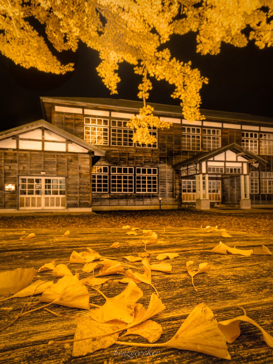 Shun Sakamoto (@shun_chan20) / Posts / X