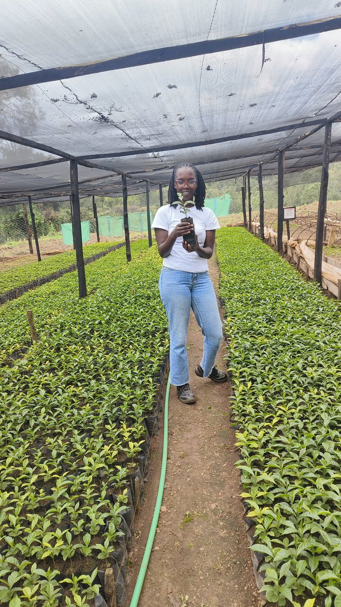 Cleotilda Jemutai tweet media