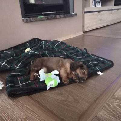 Love <a href="/Barca1387883848/">Barca</a>