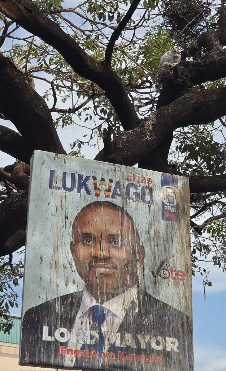 Zino kalori zakuno tezimanyi muloodi😏😏