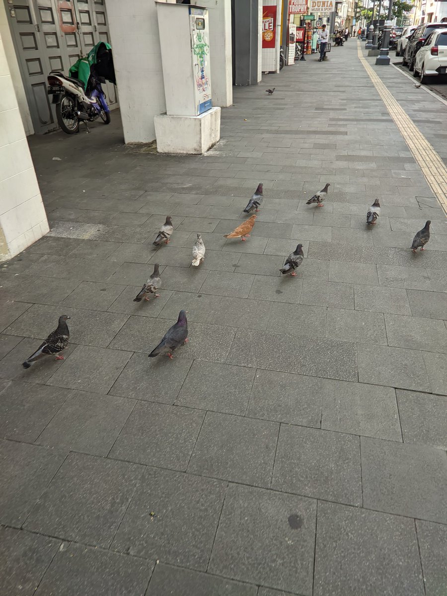 elsevier tweet media