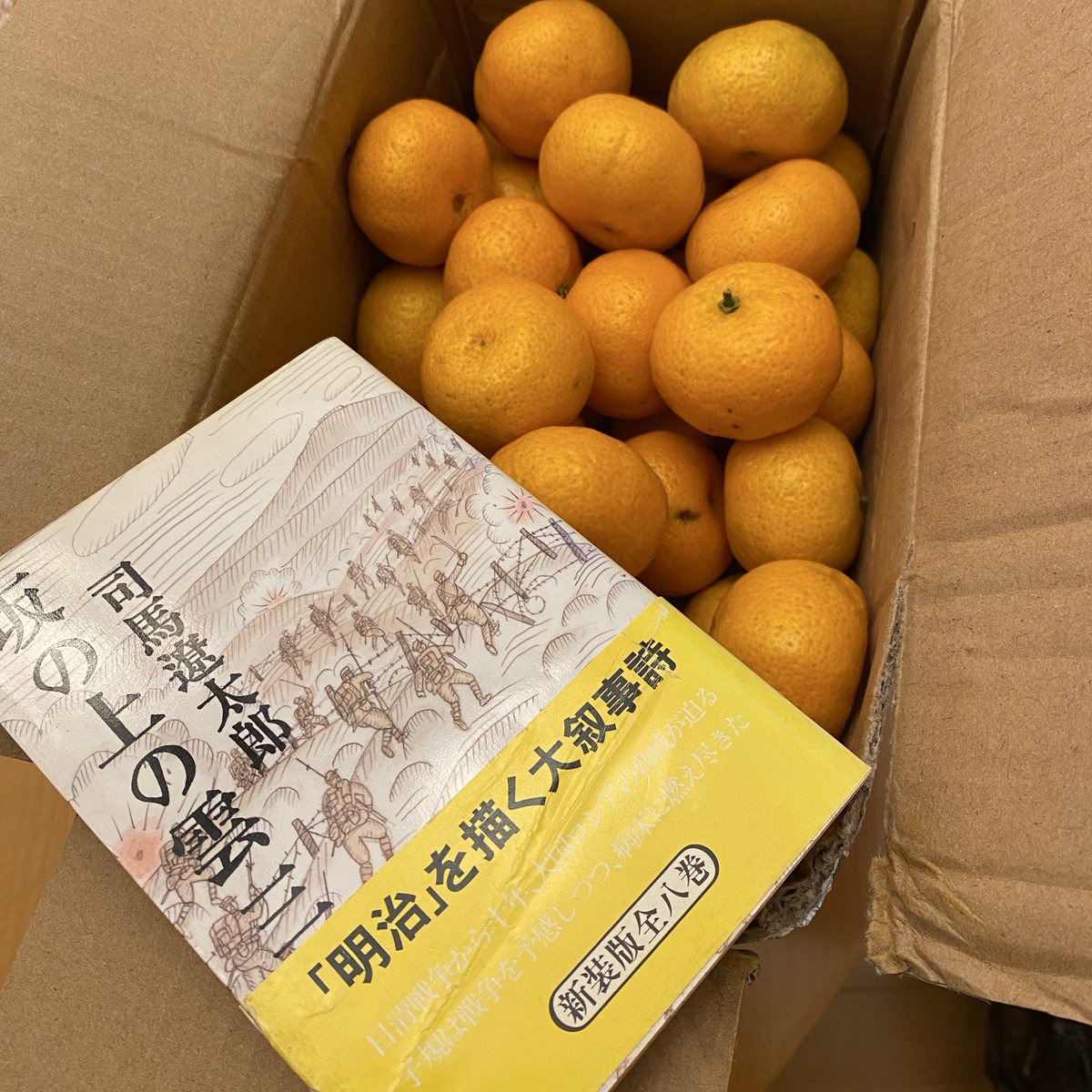 みかんノート (@mikanflavor1) / Posts / X