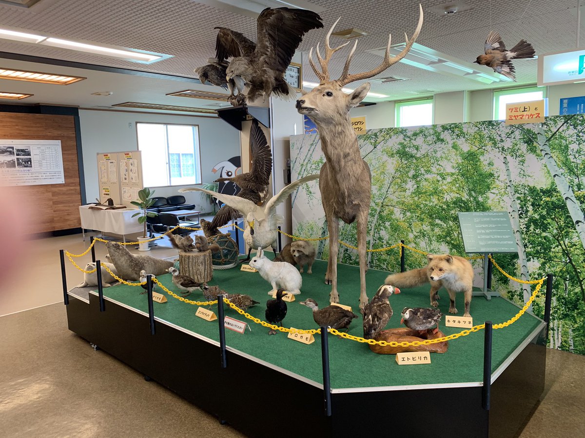 炎絡@夢日記 on X