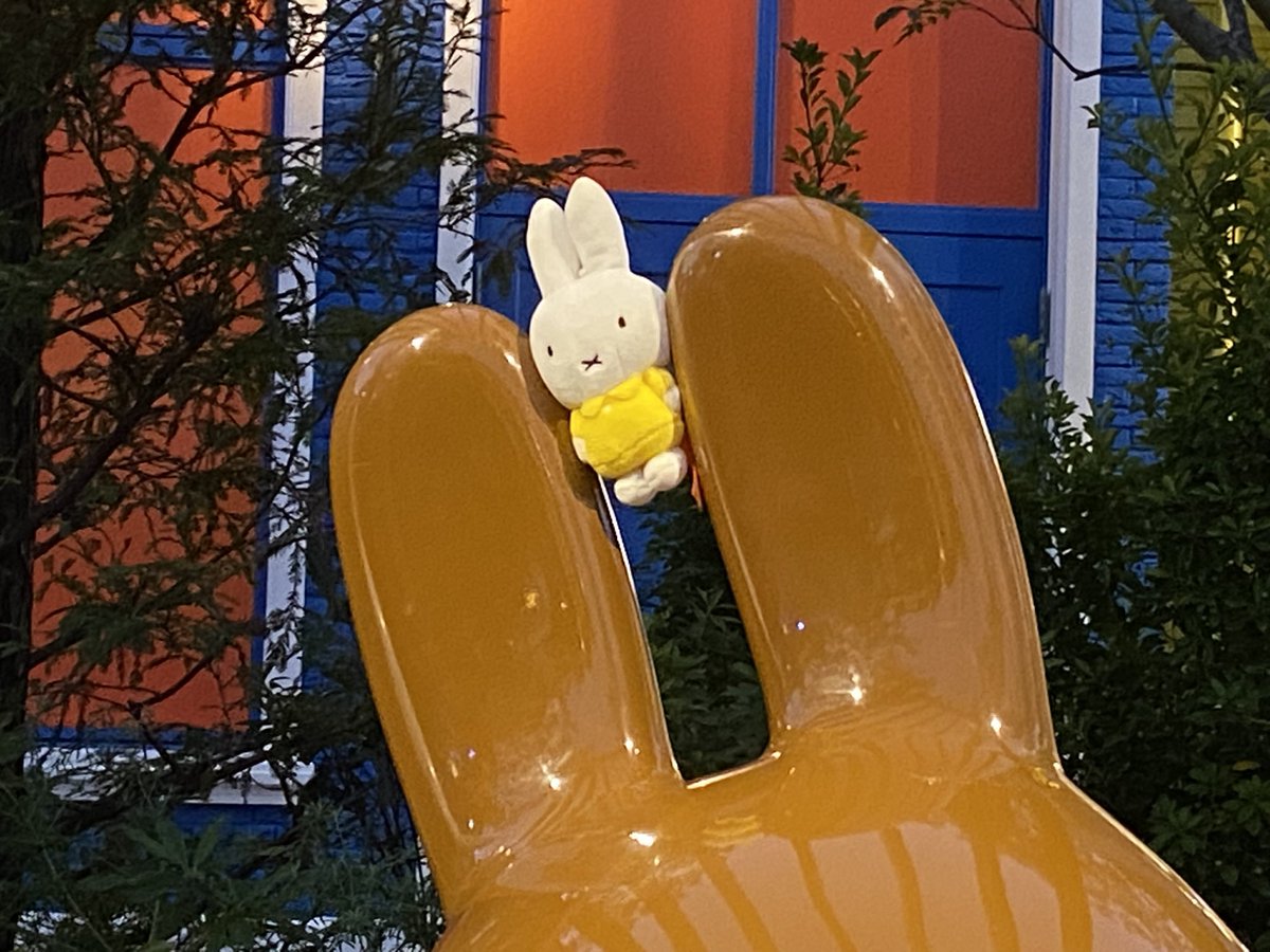 ろ (@miffy12_15) on Twitter photo 