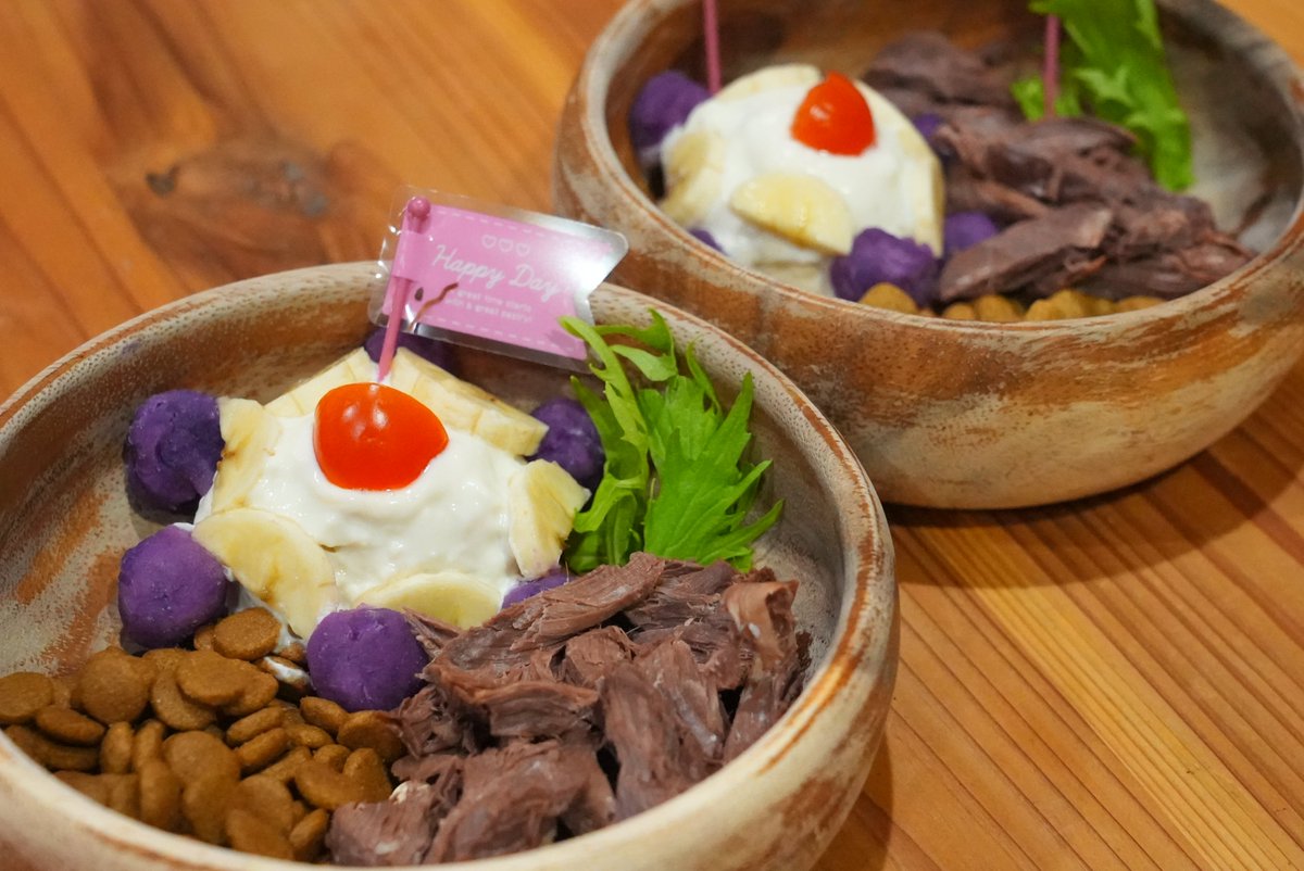 mocosuke1106's tweet image. お家記念日5周年を迎えたよ！
大人の渋みが増したオジかわもこちゃん

#コーギー #corgi