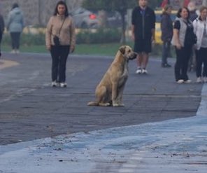 seni seviyorum seni cok seviyorum tuyun kadar omrun olsun bitanem