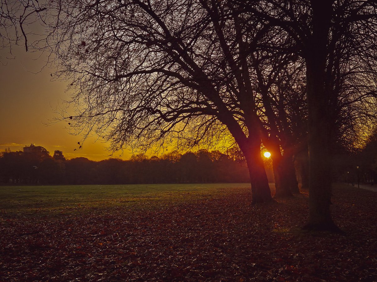 jayvaughanphoto's tweet image. Early walk. Worth it. 
Have a good week. x