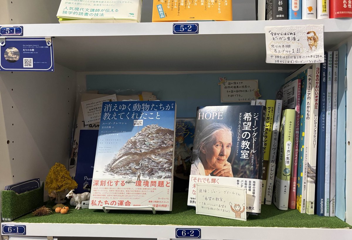 希望の光、そして命の光。#SOLIDA #光りの本棚 さんに、『消えゆく動物たちが教えてくれたこと』『希望の教室 』 などが加わりました。あなたの心を静かに照らす本棚です。 

棚主ページはこちら↓ 
passage.allreviews.jp/store/2AB6PYMV…

#PASSAGE
#共同書店
#神保町