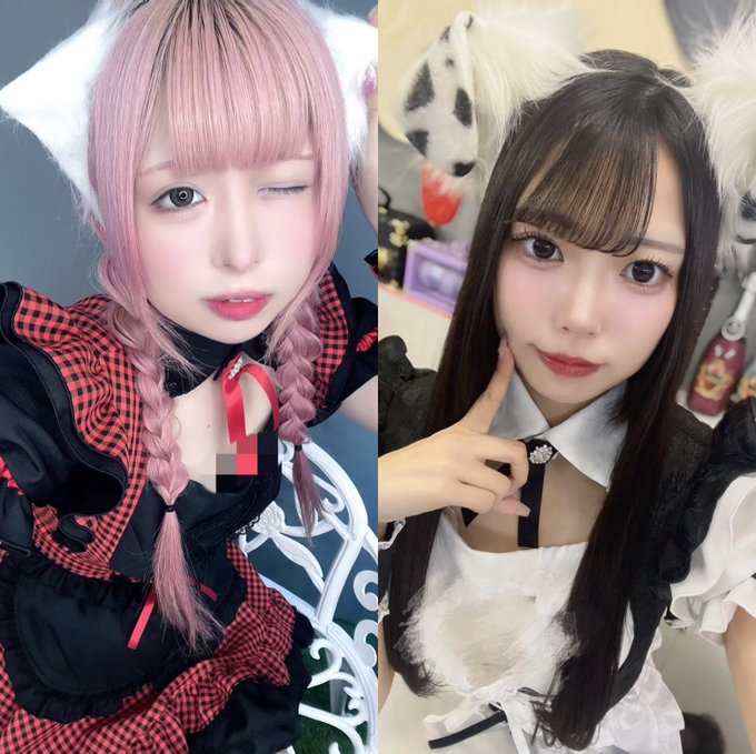 わんわんPRIMOのツイート