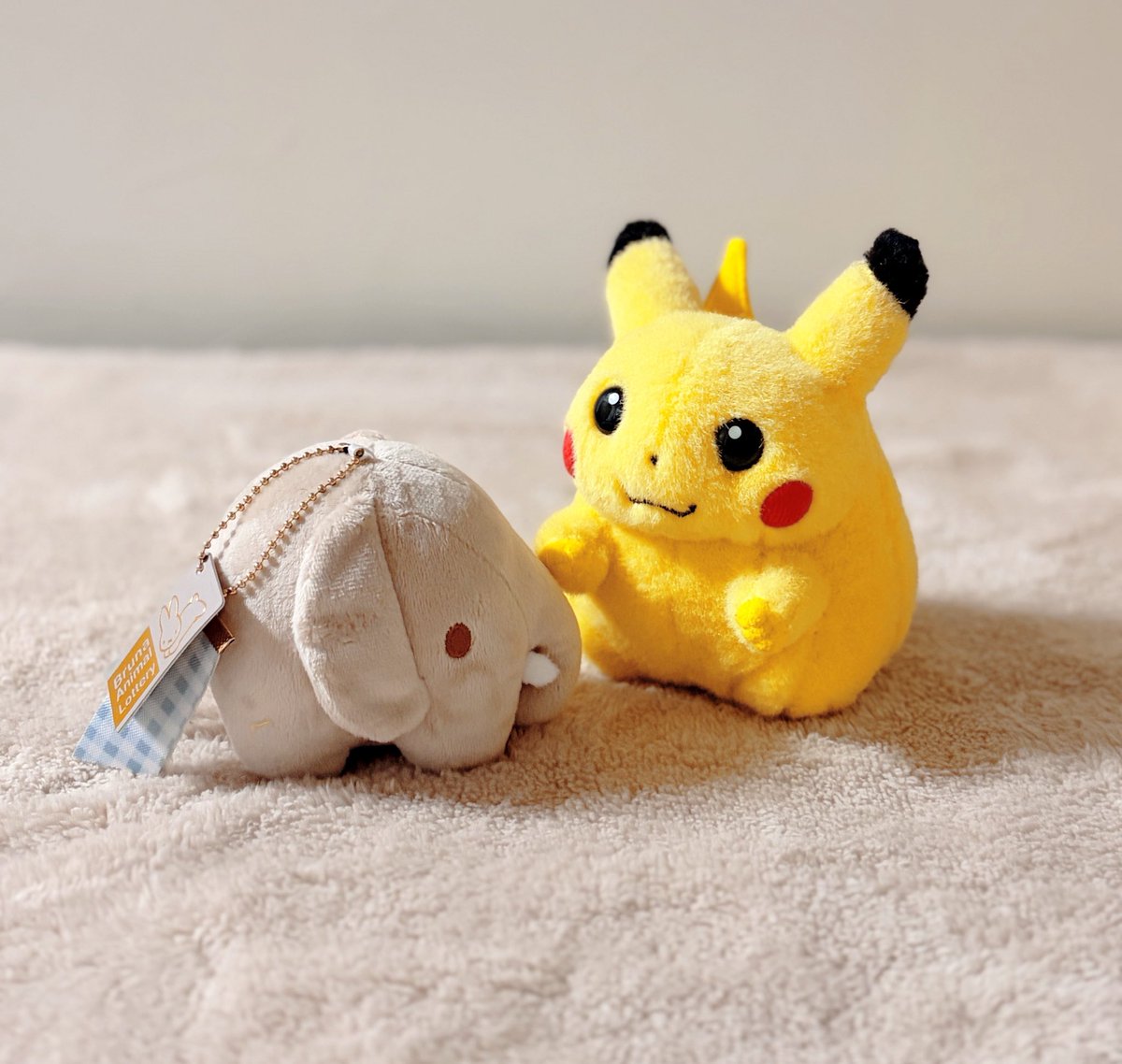 はなちき@ぬいぐるみ好き on X