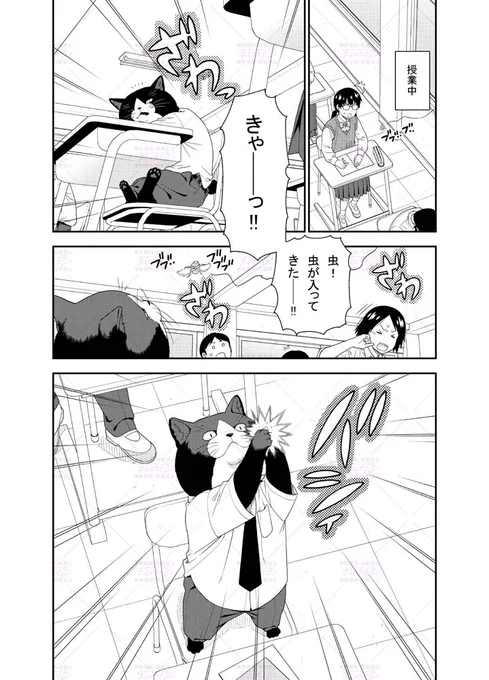 虫を恐れない頼れる男の子漫画です (1/2)
#犬田さん漫画 