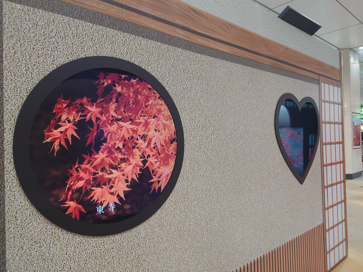 けんせー（趣味活動休眠中） (@kenaceae) / Posts / X