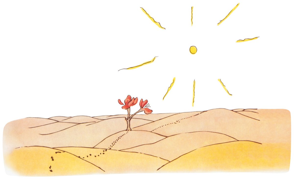 公式】星の王子さま Le Petit Prince on X