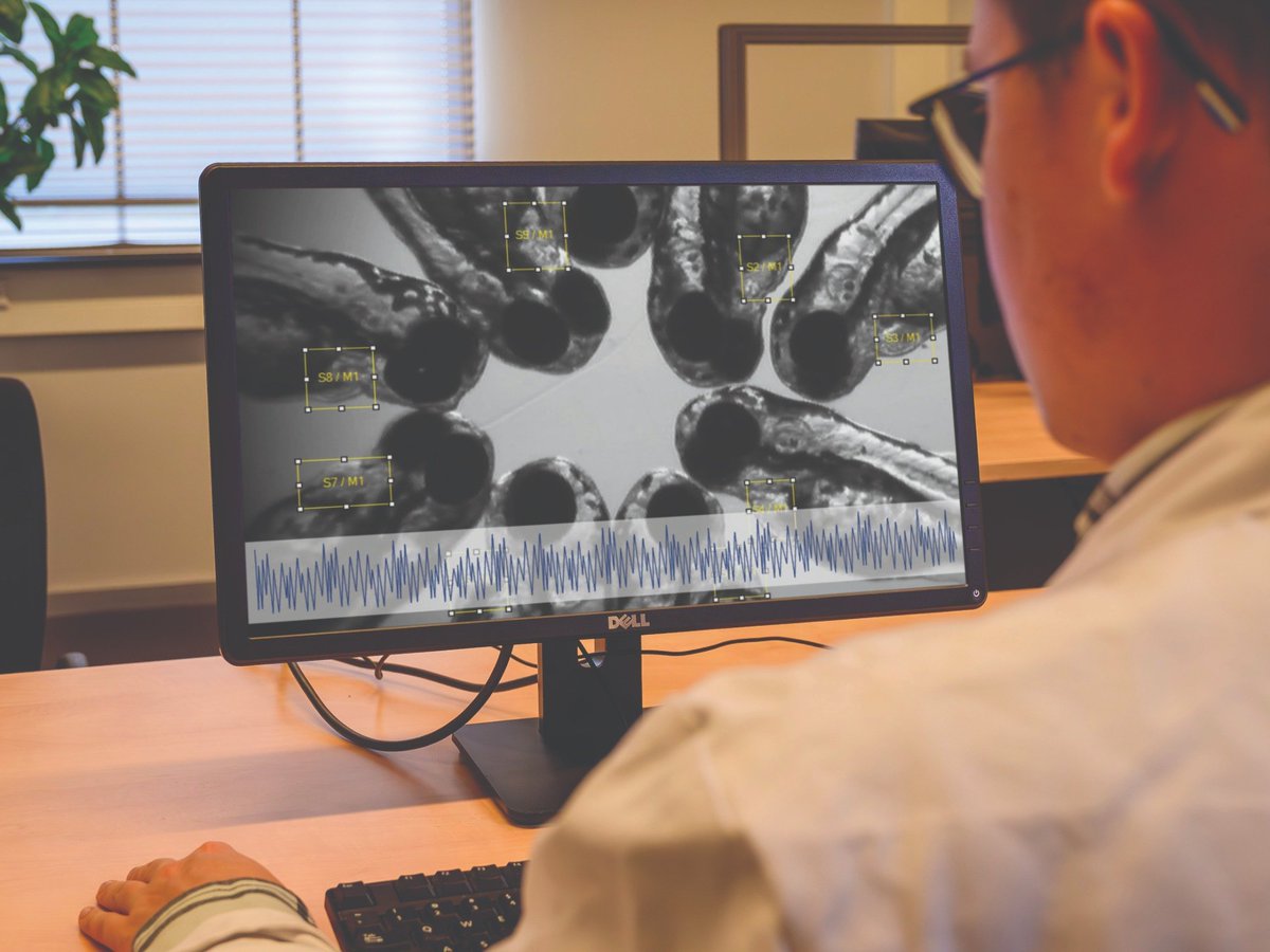 🐟 Exciting week in Stockholm!
Join Noldus at the Nordic Zebrafish Meeting 2025 (Nov 12–14, Elite Hotel Carolina Tower).
Meet Kim Eerola &amp; Johanna Swartswe to explore how behavioral tracking advances zebrafish research.
hubs.li/Q03S0CC60
#Zebrafish #Noldus #EthoVision