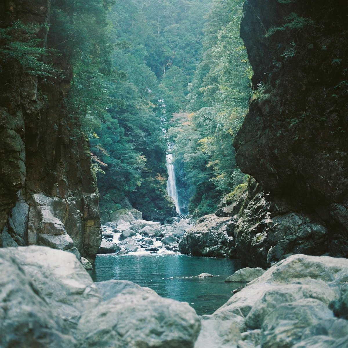 変わりゆく水の色や清らかな流れを眺めつつ、お弁当を食べたり、写真を撮ったり。どこまでもゆったりした #ハイキング を楽しむなら、三重県・大杉峡谷はいかがですか？👀⛰️ 

『秋の澄んだ空気の中で、美しい水の色に出会う。｜11月の山・大杉峡谷』
tarzanweb.jp/post-359503