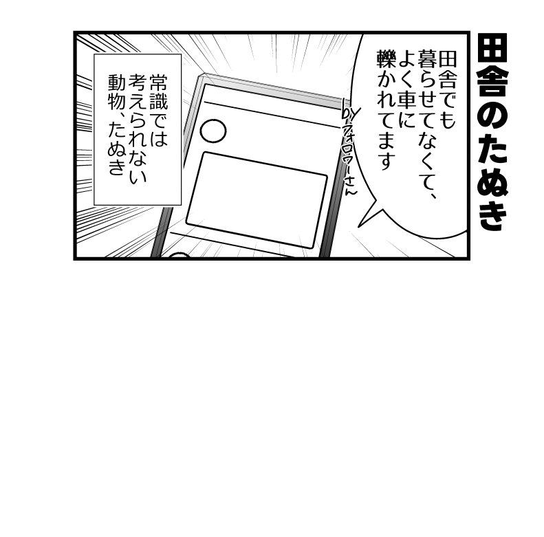 東京のたぬき 