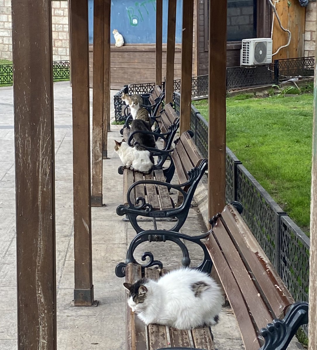 Müsaade verirlerse oturacağız yoksa yok