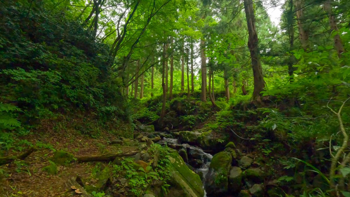 WanderersArchiv's tweet photo. 🇯🇵 Yokokura, A Village Lost to Snow, in Katsuyama Fukui  横倉 (廃村) 福井県勝山市 [4K Binaural]

https://t.co/sCyXcI59AK via @YouTube 

#横倉 #廃村 #廃村旅 #勝山市 #walkinginjapan #abandoned #Katsuyama https://t.co/tIi8DwXvjX