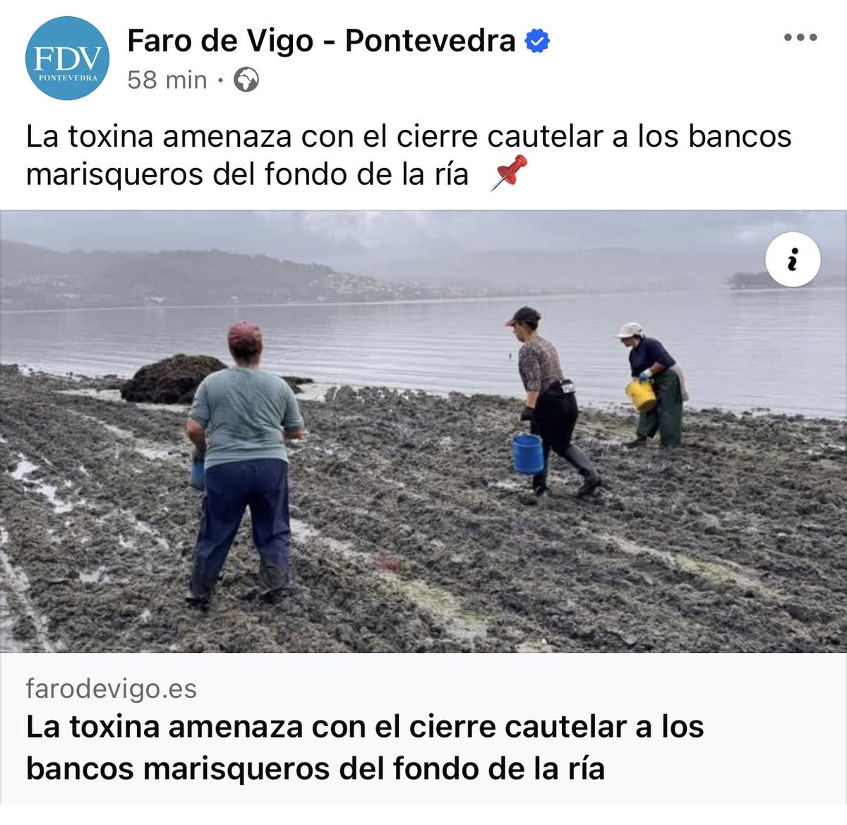 La toxina amenaza con el cierre cautelar a los bancos marisqueros del fondo de la ría.