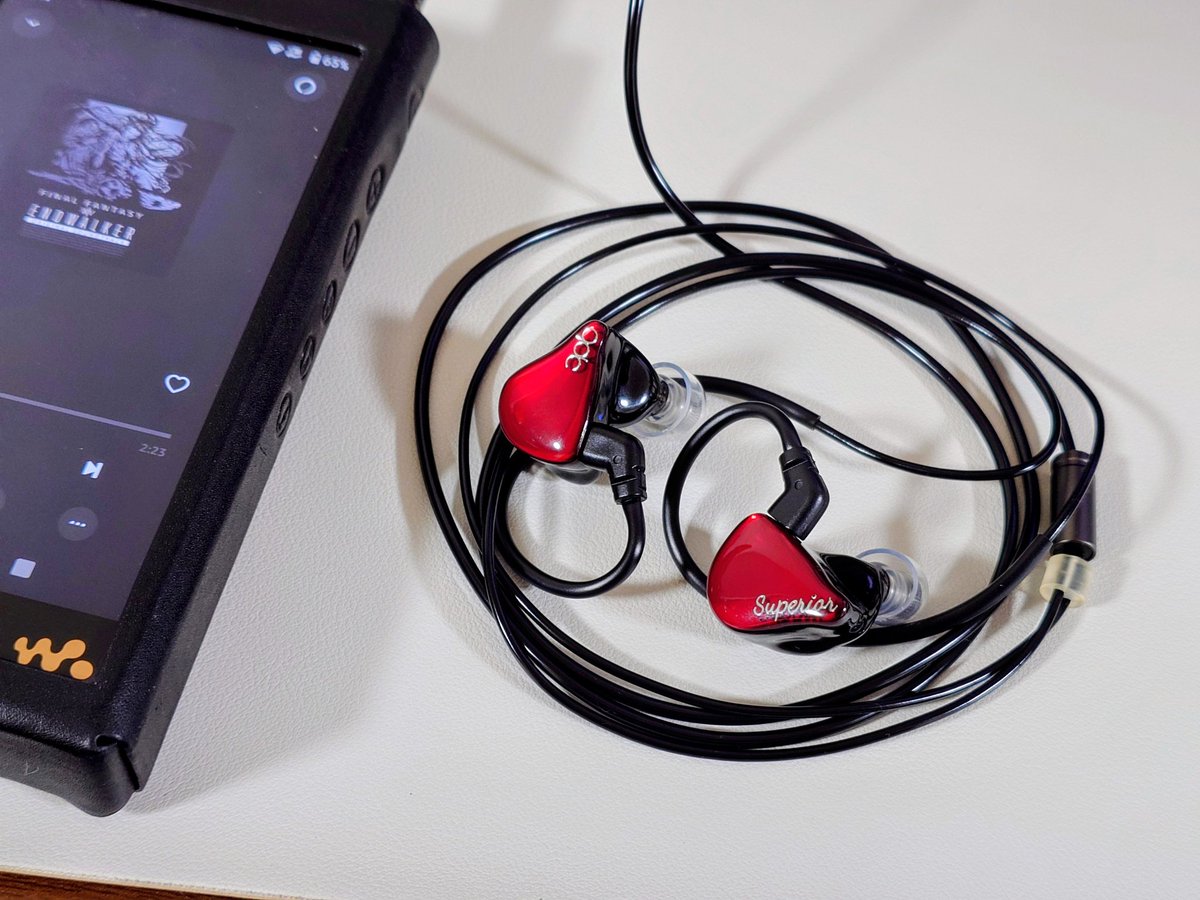 AZLA SednaEarfit mithryl
ようやっとget !