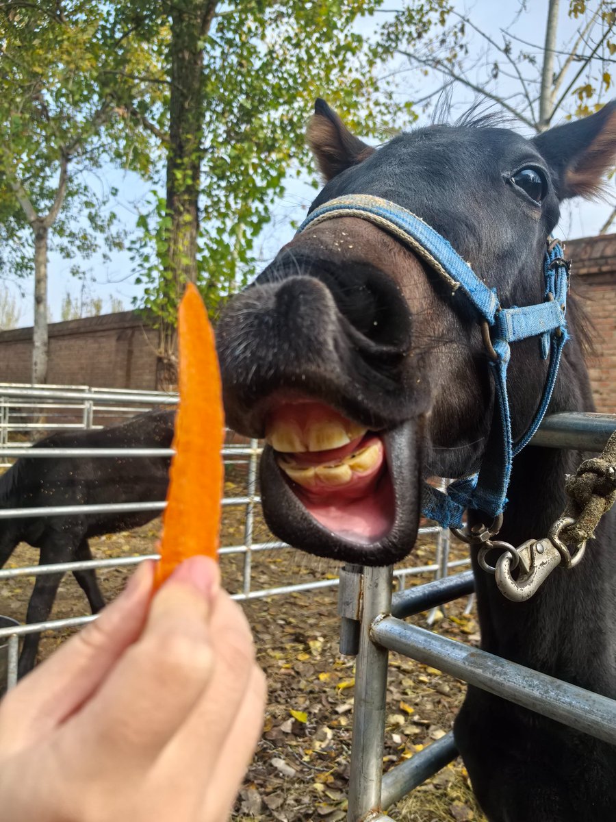 assaker (@anberttt) on Twitter photo 