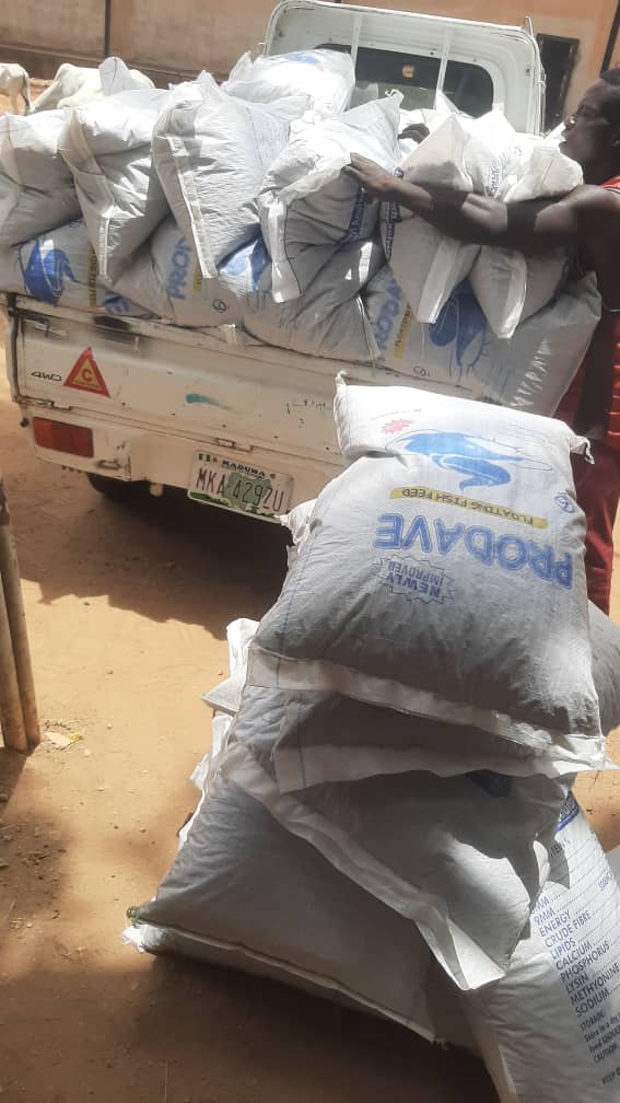 Okon_Eteobong's tweet image. PRODAVE IS GRATEFUL 🙏