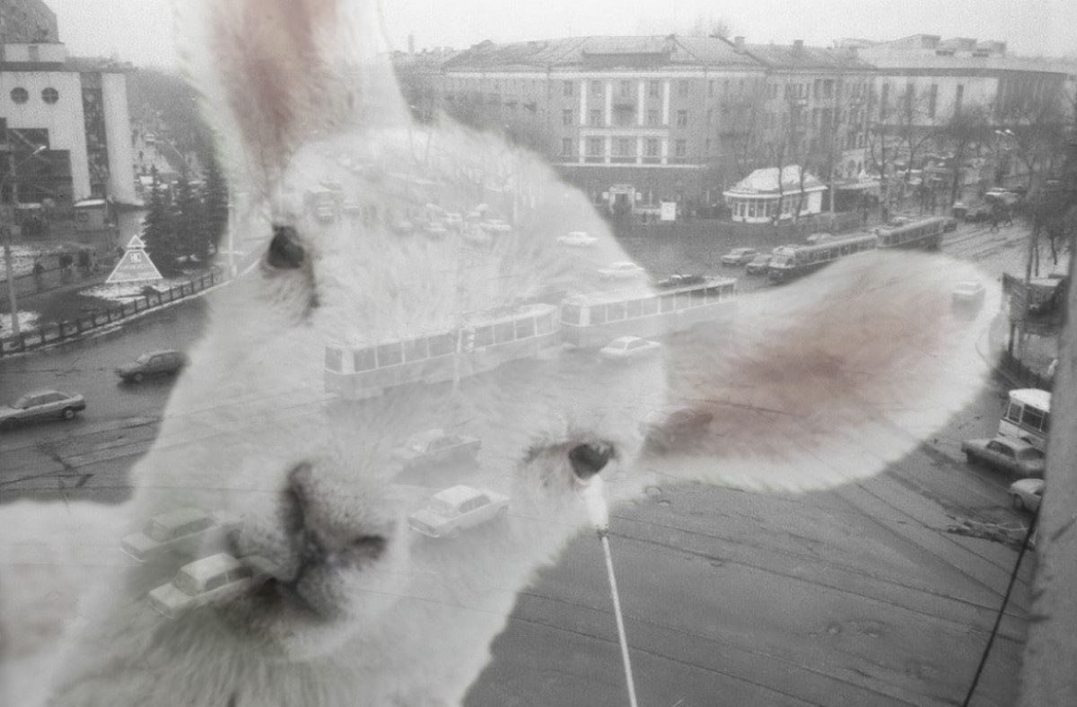 Легенда о перекрёстке Теней
brandrussia.online/fn_1750845.html

В сердце Воронежа, там, где пересекаются улицы Кольцовская и Плехановская, лежит место, отмеченное мистической печатью. Говорят, что здесь находится разлом реальности, время течёт иначе, а прошлое не хорони... #Тула #БрендыТулы