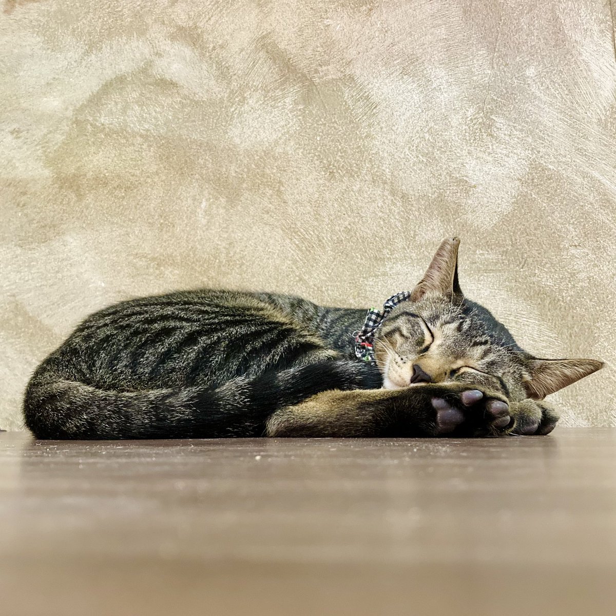 あみい(ミニチュア革靴TAKAの補佐) tweet media