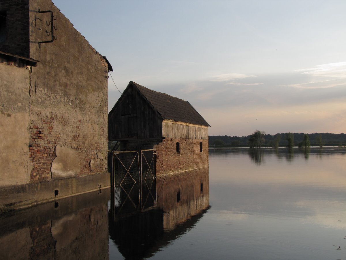 Dużo słyszymy, że weto Prezydenta ratuje lokalną ekonomię, bo park narodowy zablokowałby perspektywę rozwoju, którą region Dolnej Odry ma przed sobą, że wspaniały przemysł, infrastruktura, miejsca pracy - wszystko to nie mogłoby powstać i jedynie Niemcy cieszyliby się ze skansenu
