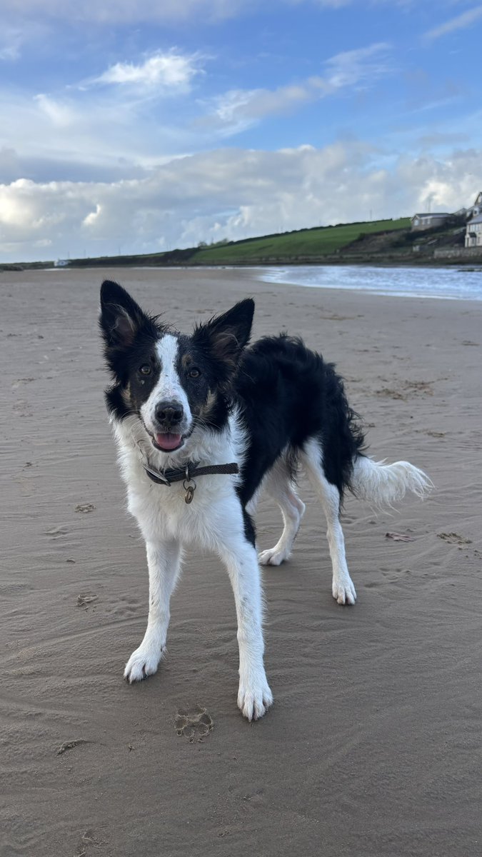Our final beach walk before home