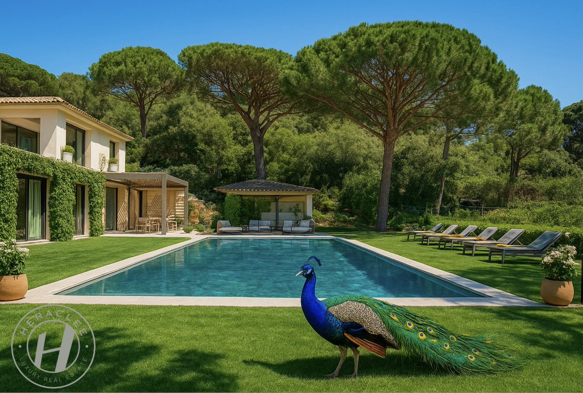 HeracleeGroup's tweet photo. 🌴Saint-Tropez, marché d’exception: résidences secondaires de prestige, offre rare et demande internationale. Du loft en centre-ville à la villa d’exception, la rareté fait grimper les prix. Un marché où luxe rime avec exclusivité. #RealEstateInvesting #SaintTropez #Heraclee https://t.co/ydrQGkwusN