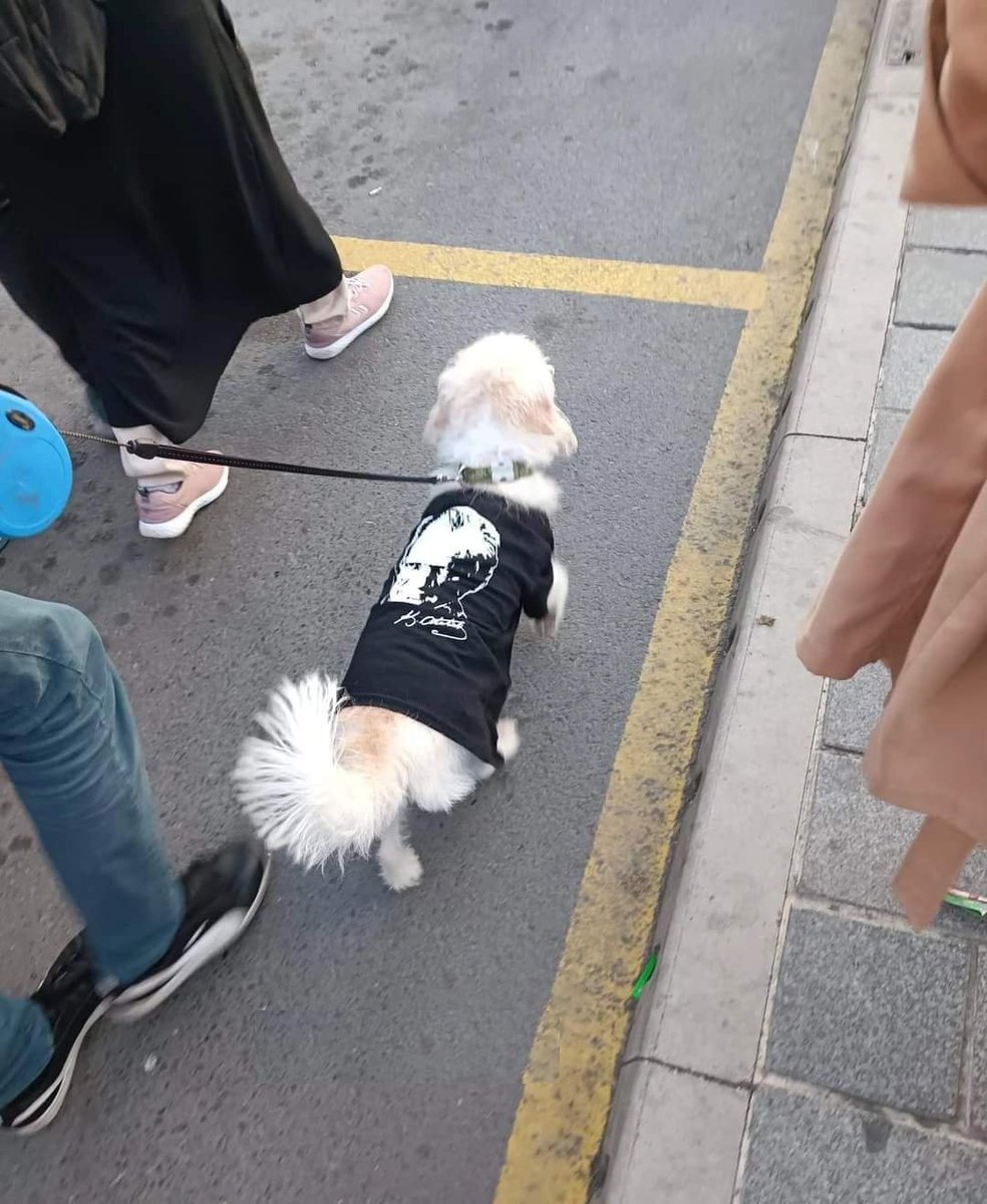 #atatürk inançsızlığını defalarca söyledi. Buna rağmen, kemalistlerin camilerin manevi şahsına saldırmak ve dindarlara psikolojik baskı olsun diye camilerde dua ve mevlid zorbalıkları, kemalist ideolojinin gebermeye yakın olduğunun işareti

#10kasım atam #ilelebet saat 09.05