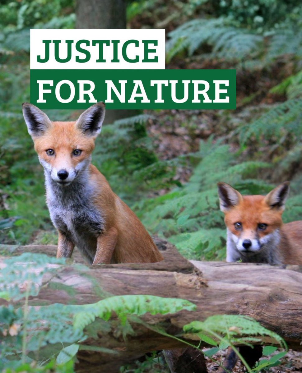 The stats on Wildlife Crime are clear – those who harm nature are likely to also harm people 🚨

The Wildlife &amp; Countryside Link Wildlife Crime Report, with the National Wildlife Crime Unit, highlights that 59% of people who commit crimes against wildlife are also associated with