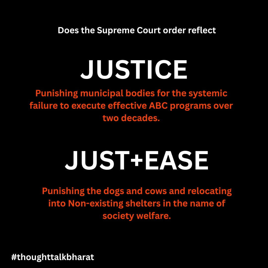 Ranjanmill1005's tweet photo. JUSTICE vs. JUST + EASE: Where does the Supreme Court order truly land? 🤔

#SupremeCourtofIndia #savedelhincrdogs #pmoindia #AnimalAbuse #AnimalCruelty #constitutionofinida #humanity https://t.co/aN3WNE2kur