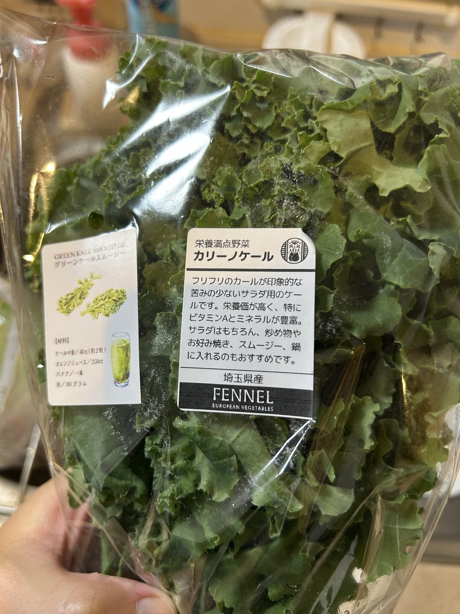 Yusuke Ishii / 石井 裕介 (@YI_0727) / Posts / X