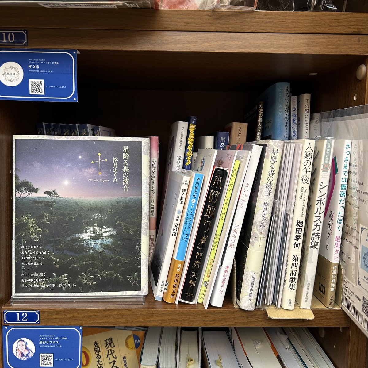 #PASSAGE #柊文庫 さんの棚に入荷のお知らせです。

棚主さん #柊月めぐみ さんの『星降る森の波音（サイン入り）』をはじめ、『シンボルスカ詩集 』『詩集 夏の森』など。

秋から冬に変わりゆく季節。詩集片手に夜ふかしなんていいですね。(sue)

passage.allreviews.jp/store/J4KDBFBK… 

#神保町
#共同書店